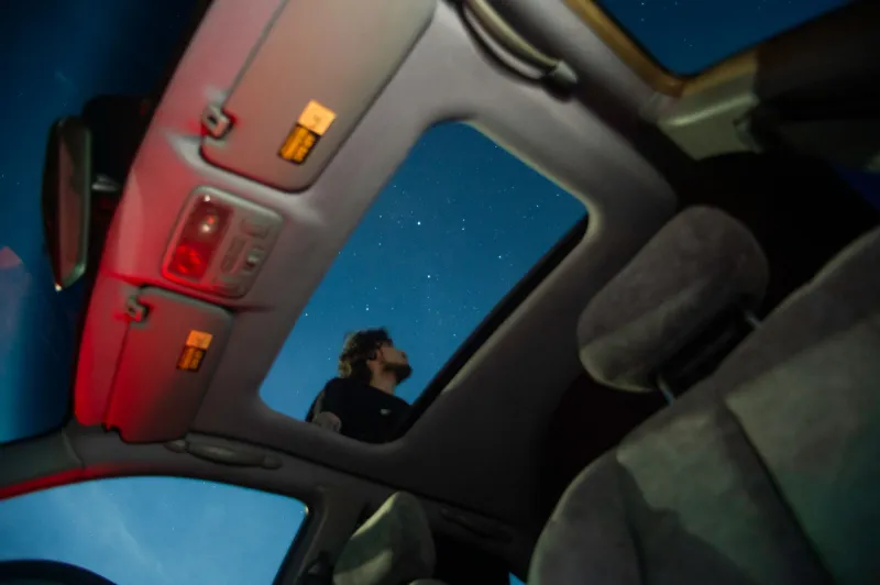 When Fido Freaks Out at the Sky: The Wild Science Behind Dogs and Cosmic Events